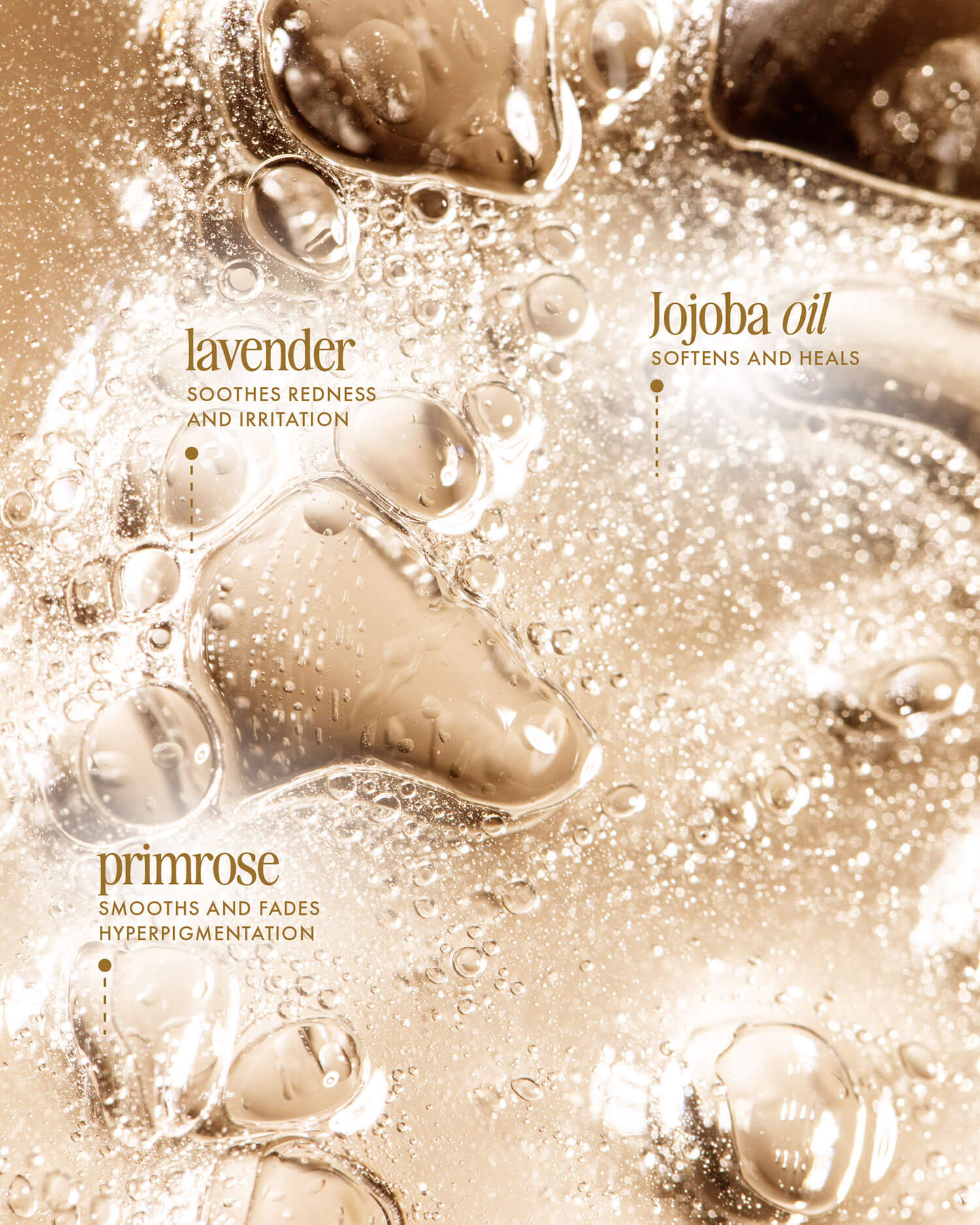 INGREDIENT_649ce1e3-593e-4133-8022-13f0dfd4b3ad.jpg